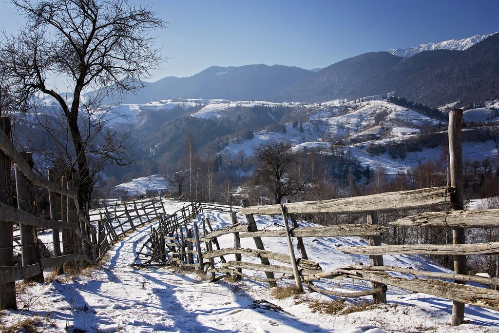 ホテル Samedru Măgura エクステリア 写真