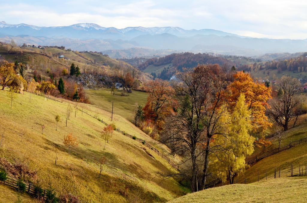 ホテル Samedru Măgura エクステリア 写真