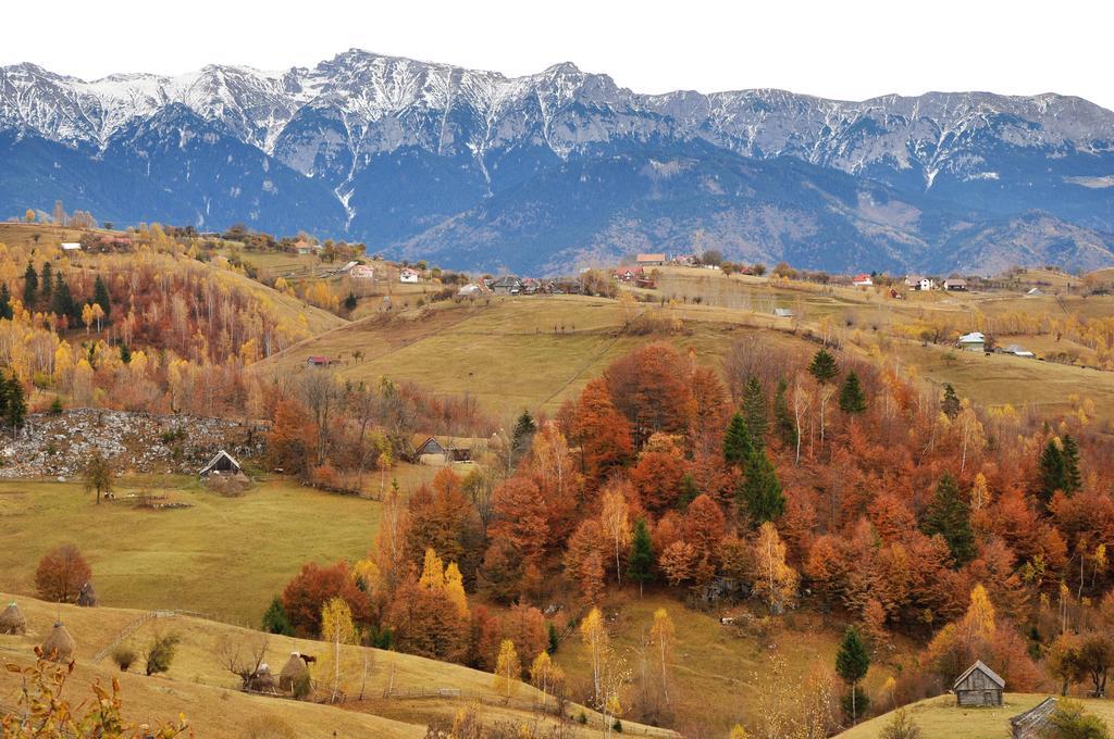 ホテル Samedru Măgura エクステリア 写真
